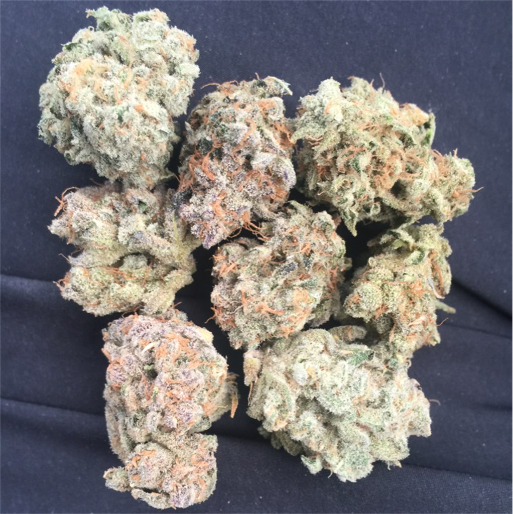 Buy Gelato THC Weed in UK